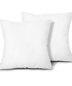 FoamTouch Edow Throw Pillow Inserts, Set of 2 Lightweight Down Alternative Polyester Pillow, Couch Cushion, Sham Stuffer, Machine Washable. (White, 18x18)