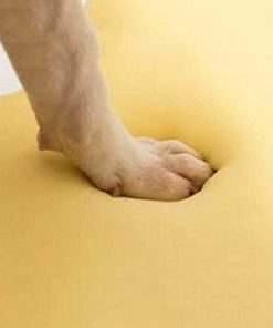 FoamTouch Comfort Foam COLLECTION Memory Foam Orthopedic Pet Bed| Premium Memory Foam Dog Bed, Joint-Relief | Dog Bed for Large Dogs